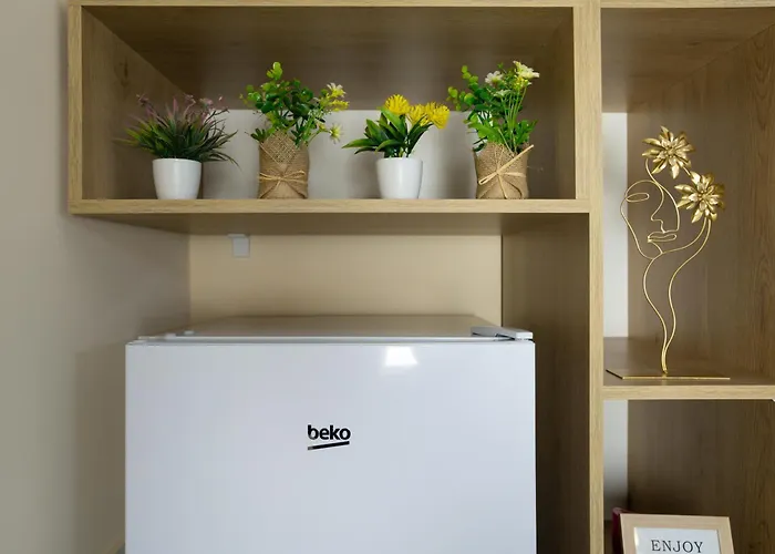 公寓 Luxe 地拉那